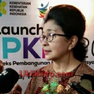 Pembangunan Kesehatan Masyarakat, Bali Terbaik Nasional, Palopo Terbaik Sulsel