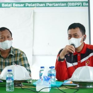 Tingkatkan Kapasitas Penyuluh, Distan Luwu Gelar Pelatihan Teknis Tematik