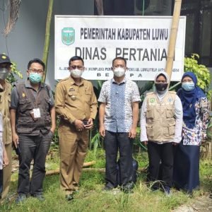 Rencana Kembangkan Kawasan Food Estate, Peneliti Kementan akan merujuk Model Pengembangan Sagu di Luwu