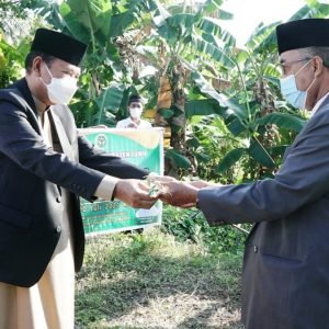 Bupati Luwu Serahkan 4 Ekor Sapi Kurban