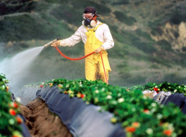 bahaya residu pestisida