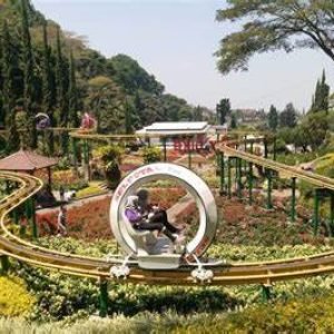 Tempat Wisata di Nark Park Terkenal dan Wajib dikunjungi Saat Ke Jepang