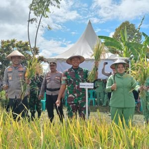 Dukung Program Ketahanan Pangan Nasional, Kodim 1403 Palopo Ikuti Panen Raya Secara Virtual