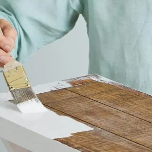 Panduan Lengkap Penggunaan Cat Anti Air agar Rumah Bebas Lembap