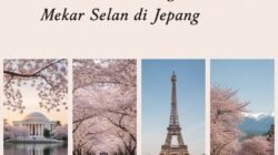 Daftar Tempat Terbaik Untuk Melihat Bunga Sakura Mekar Selain di Negara Jepang