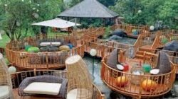 Rekomendasi Restoran Dengan Konsep Unik Di Tengah Hutan Kota Jakarta Pusat